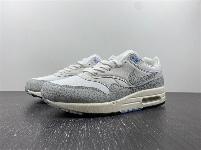 Nike Air Max 1