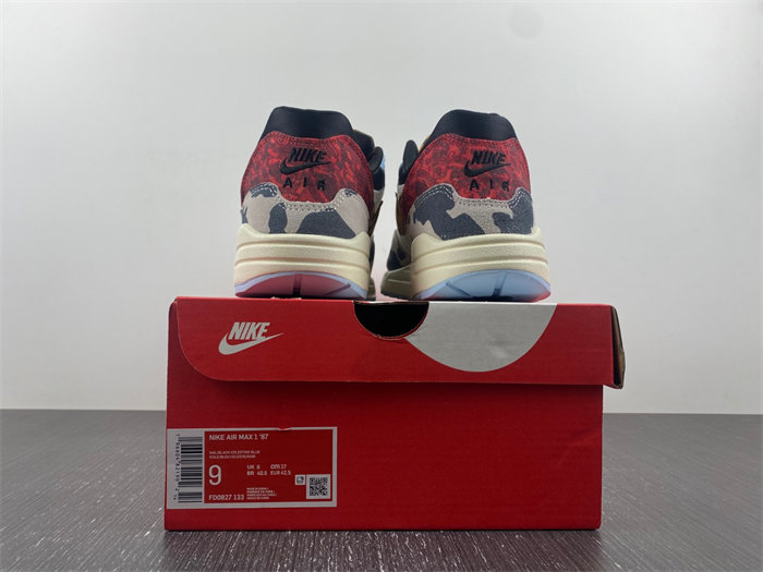 Nike Air Max 1