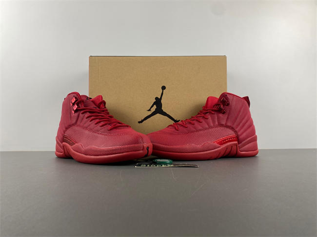 Air Jordan 12 Retro