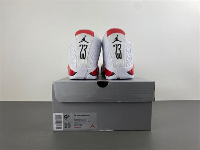 Jordan 14 Retro Rip Hamilton 487471-100