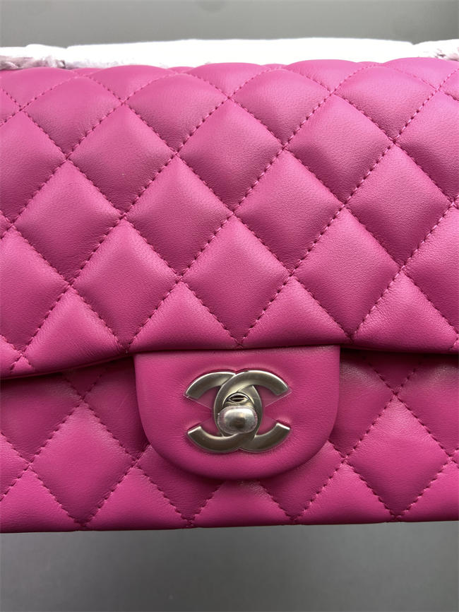 Ch**el Classic Flap Bag