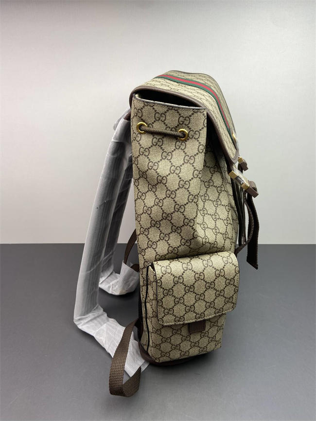 Ophidia large backpack